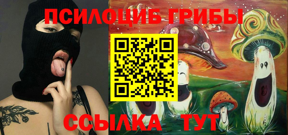 Галлюциногенные грибы прущие грибы Элиста