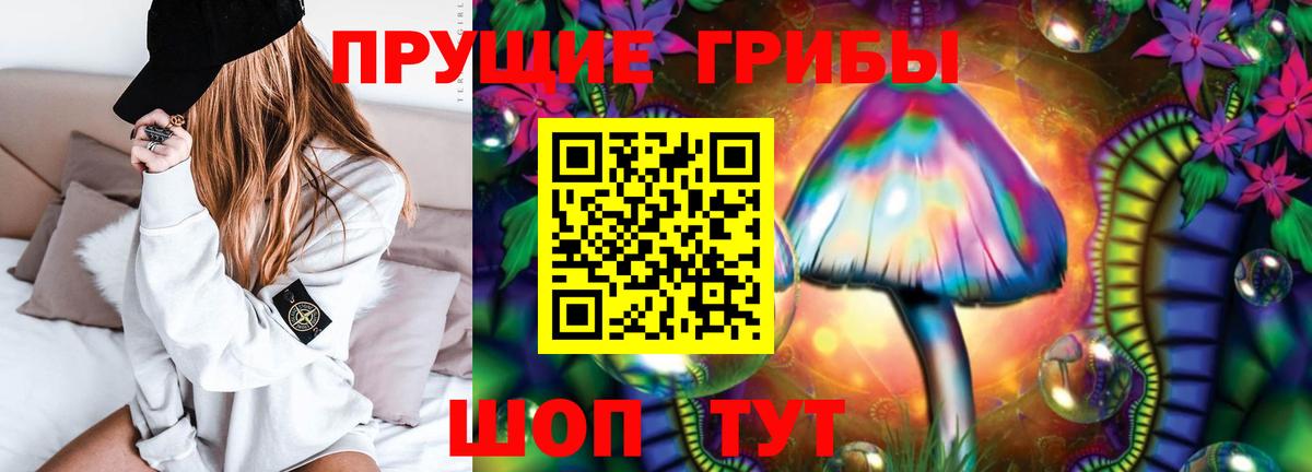 Элиста  купить   Вход с VPN  Псилоцибиновые грибы мицелий 