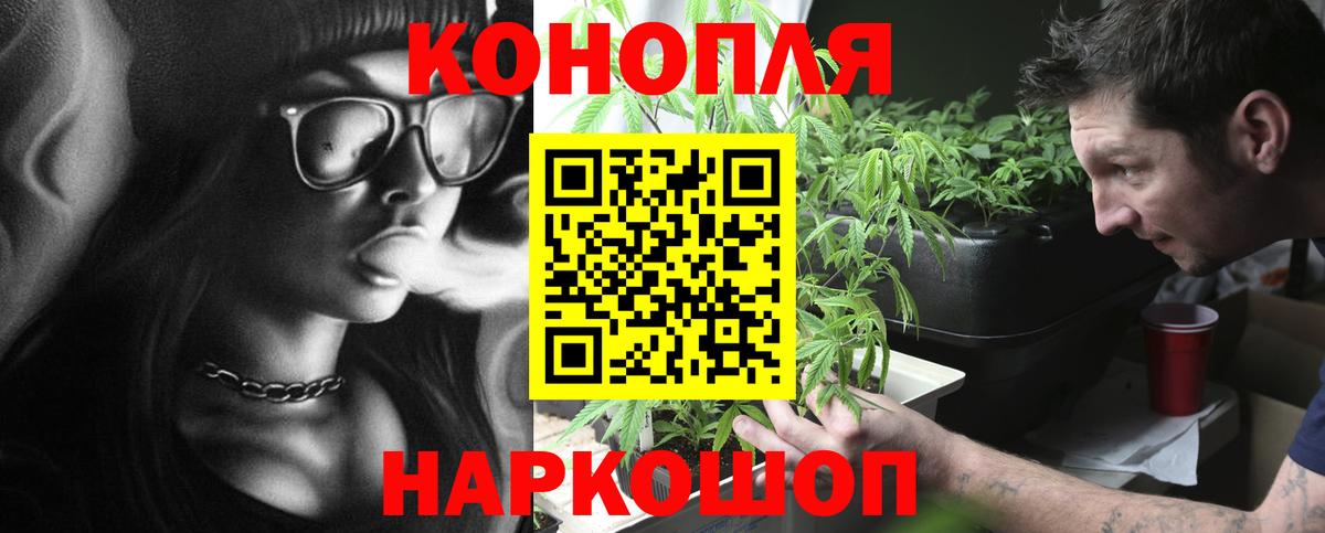 Канабис гибрид Элиста