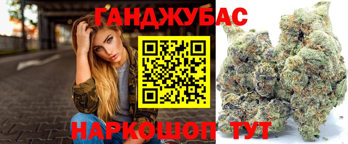 Бошки Шишки SATIVA & INDICA  Бошки марихуана план  Вход с VPN  Бошки марихуана ГИДРОПОН  Элиста 